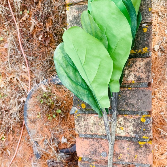 *Fiddle Fig Spray Artificial - Picture 12 of 12